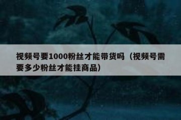 视频号要1000粉丝才能带货吗（视频号需要多少粉丝才能挂商品）