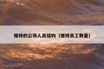 推特的公司人员结构（推特员工数量）