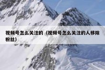 视频号怎么关注的（视频号怎么关注的人移除粉丝）