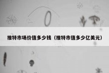 推特市场价值多少钱（推特市值多少亿美元）