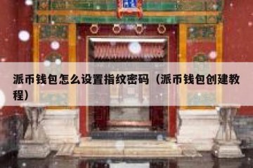 派币钱包怎么设置指纹密码（派币钱包创建教程）