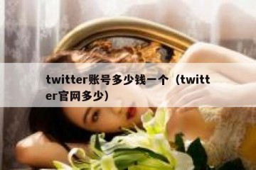 twitter账号多少钱一个（twitter官网多少）