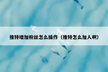 推特增加粉丝怎么操作（推特怎么加人啊）