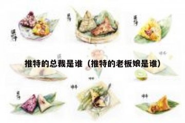 推特的总裁是谁（推特的老板娘是谁）