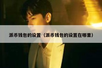 派币钱包的设置（派币钱包的设置在哪里）