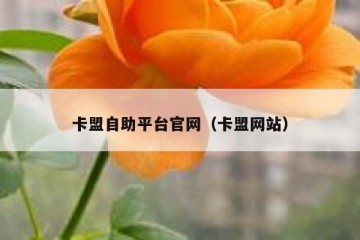 卡盟自助平台官网（卡盟网站）
