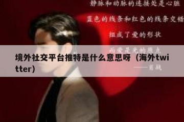 境外社交平台推特是什么意思呀（海外twitter）