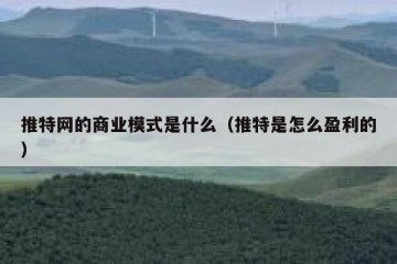 推特网的商业模式是什么（推特是怎么盈利的）