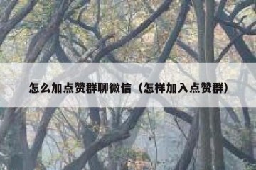怎么加点赞群聊微信（怎样加入点赞群）