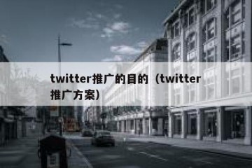 twitter推广的目的（twitter推广方案）