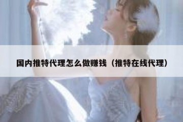 国内推特代理怎么做赚钱（推特在线代理）