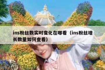 ins粉丝数实时变化在哪看（ins粉丝增长数量如何查看）