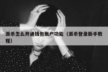 派币怎么开通钱包账户功能（派币登录新手教程）