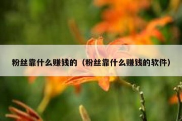 粉丝靠什么赚钱的（粉丝靠什么赚钱的软件）