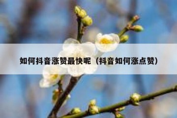 如何抖音涨赞最快呢（抖音如何涨点赞）