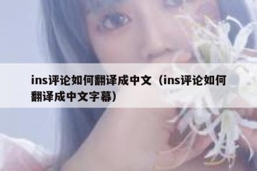 ins评论如何翻译成中文（ins评论如何翻译成中文字幕）