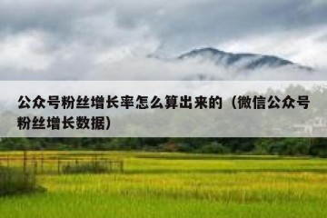 公众号粉丝增长率怎么算出来的（微信公众号粉丝增长数据）