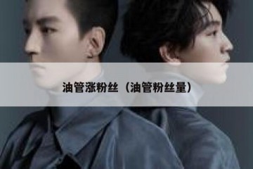 油管涨粉丝（油管粉丝量）