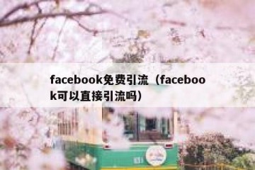 facebook免费引流（facebook可以直接引流吗）