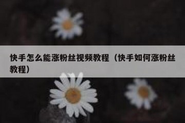 快手怎么能涨粉丝视频教程（快手如何涨粉丝教程）