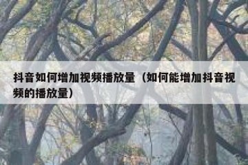抖音如何增加视频播放量（如何能增加抖音视频的播放量）