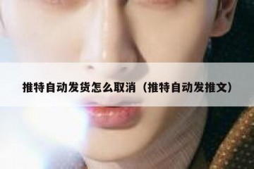 推特自动发货怎么取消（推特自动发推文）