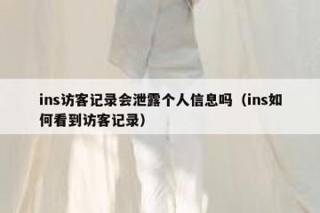 ins访客记录会泄露个人信息吗（ins如何看到访客记录）