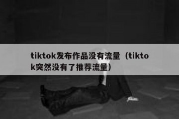 tiktok发布作品没有流量（tiktok突然没有了推荐流量）