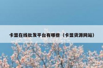 卡盟在线批发平台有哪些（卡盟货源网站）