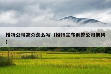推特公司简介怎么写（推特宣布调整公司架构）