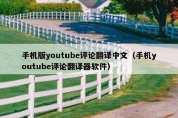 手机版youtube评论翻译中文（手机youtube评论翻译器软件）