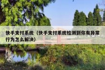 快手支付系统（快手支付系统检测到你有异常行为怎么解决）