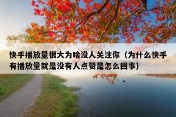 快手播放量很大为啥没人关注你（为什么快手有播放量就是没有人点赞是怎么回事）