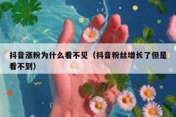抖音涨粉为什么看不见（抖音粉丝增长了但是看不到）