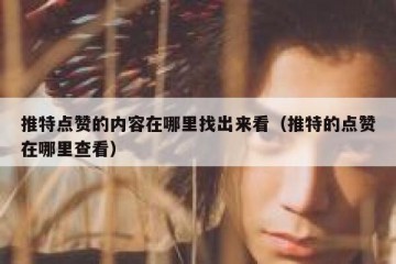 推特点赞的内容在哪里找出来看（推特的点赞在哪里查看）
