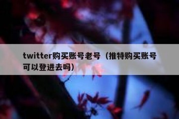twitter购买账号老号（推特购买账号可以登进去吗）