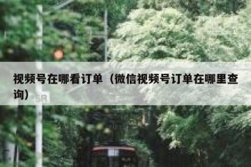 视频号在哪看订单（微信视频号订单在哪里查询）