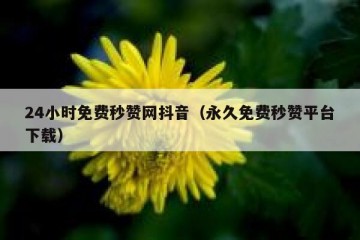 24小时免费秒赞网抖音（永久免费秒赞平台下载）