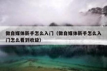 做自媒体新手怎么入门（做自媒体新手怎么入门怎么看到收益）