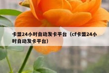 卡盟24小时自动发卡平台（cf卡盟24小时自动发卡平台）