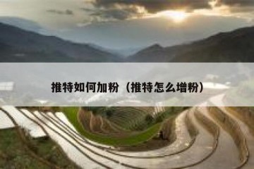 推特如何加粉（推特怎么增粉）