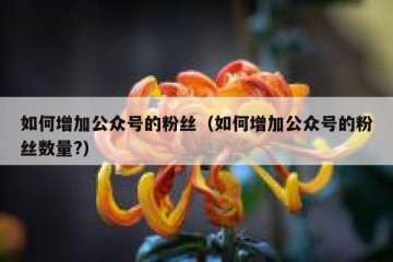 如何增加公众号的粉丝（如何增加公众号的粉丝数量?）