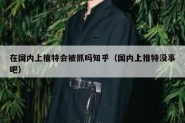 在国内上推特会被抓吗知乎（国内上推特没事吧）