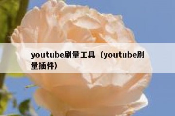 youtube刷量工具（youtube刷量插件）