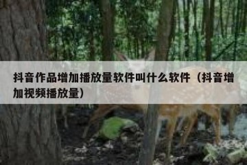 抖音作品增加播放量软件叫什么软件（抖音增加视频播放量）