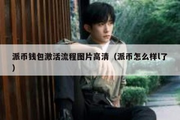 派币钱包激活流程图片高清（派币怎么样l了）