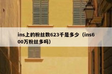 ins上的粉丝数623千是多少（ins600万粉丝多吗）