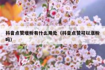 抖音点赞增粉有什么用处（抖音点赞可以涨粉吗）