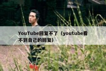 YouTube回复不了（youtube看不到自己的回复）