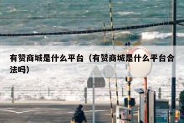 有赞商城是什么平台（有赞商城是什么平台合法吗）